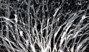 PHOTO-2019-01-06-14-07-12