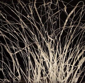 PHOTO-2019-01-06-14-11-02 2