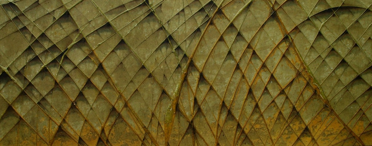 PHOTO-2019-01-06-14-11-03 3