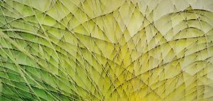 PHOTO-2019-01-06-14-11-06