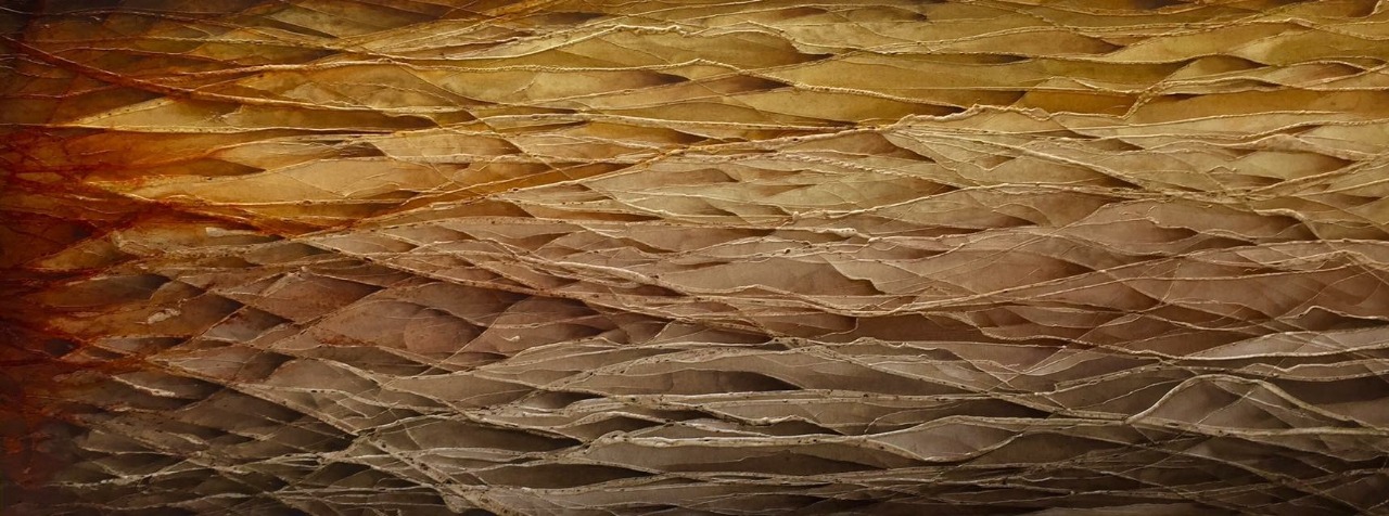 PHOTO-2019-01-06-14-11-07 4